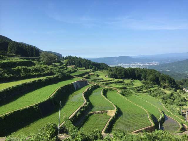 岳の棚田